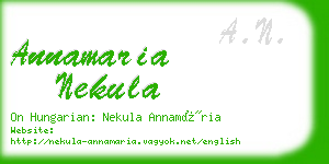 annamaria nekula business card